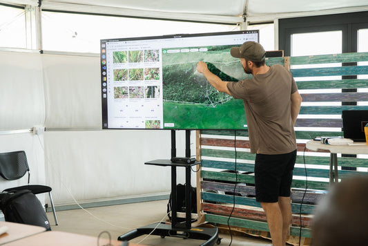 2 Additional Trees (with Sprout)