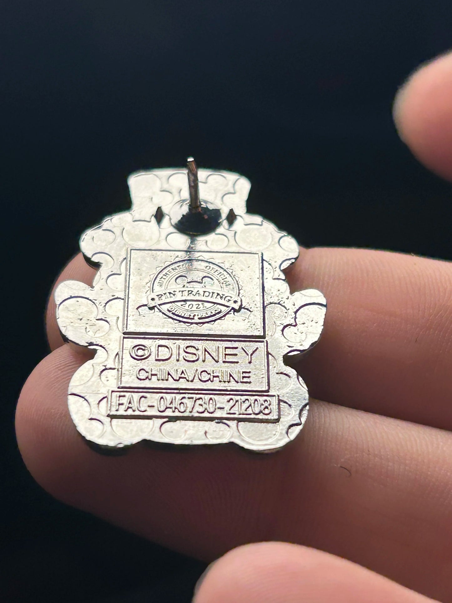 2021 - Henry - Country Bears - Wishables - Mystery Pin