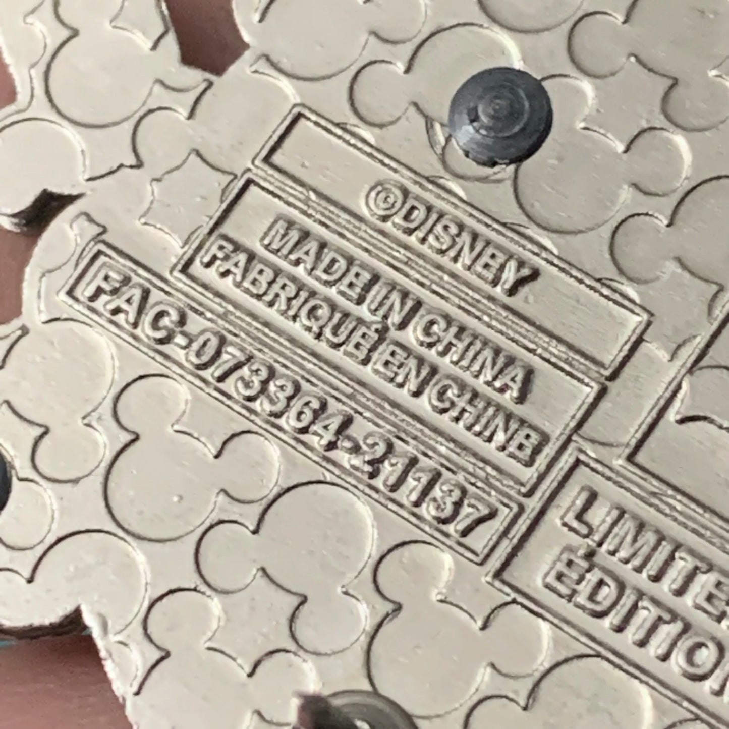 2022 LR Earth Day Mickey