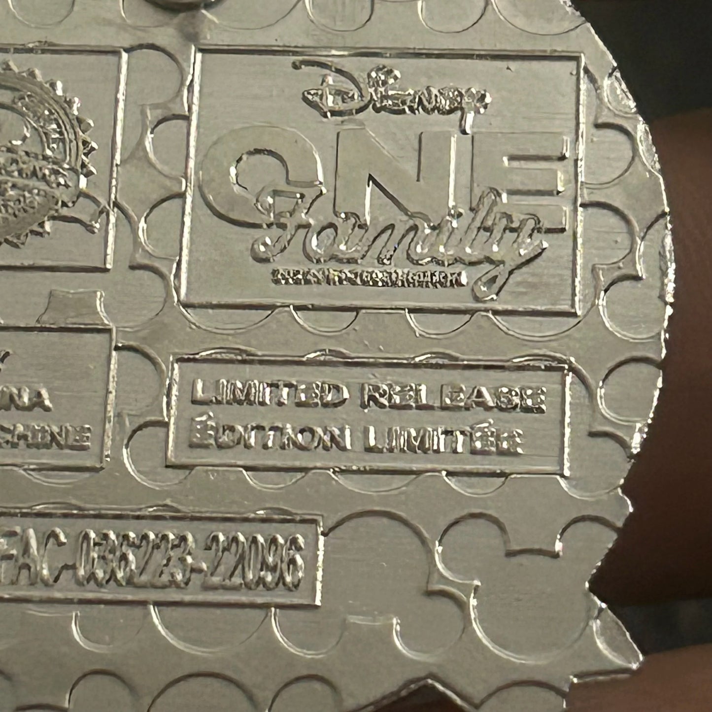 2022 - Donald Duck and Goofy - Friends and Family - Limited Release - Disney Pin