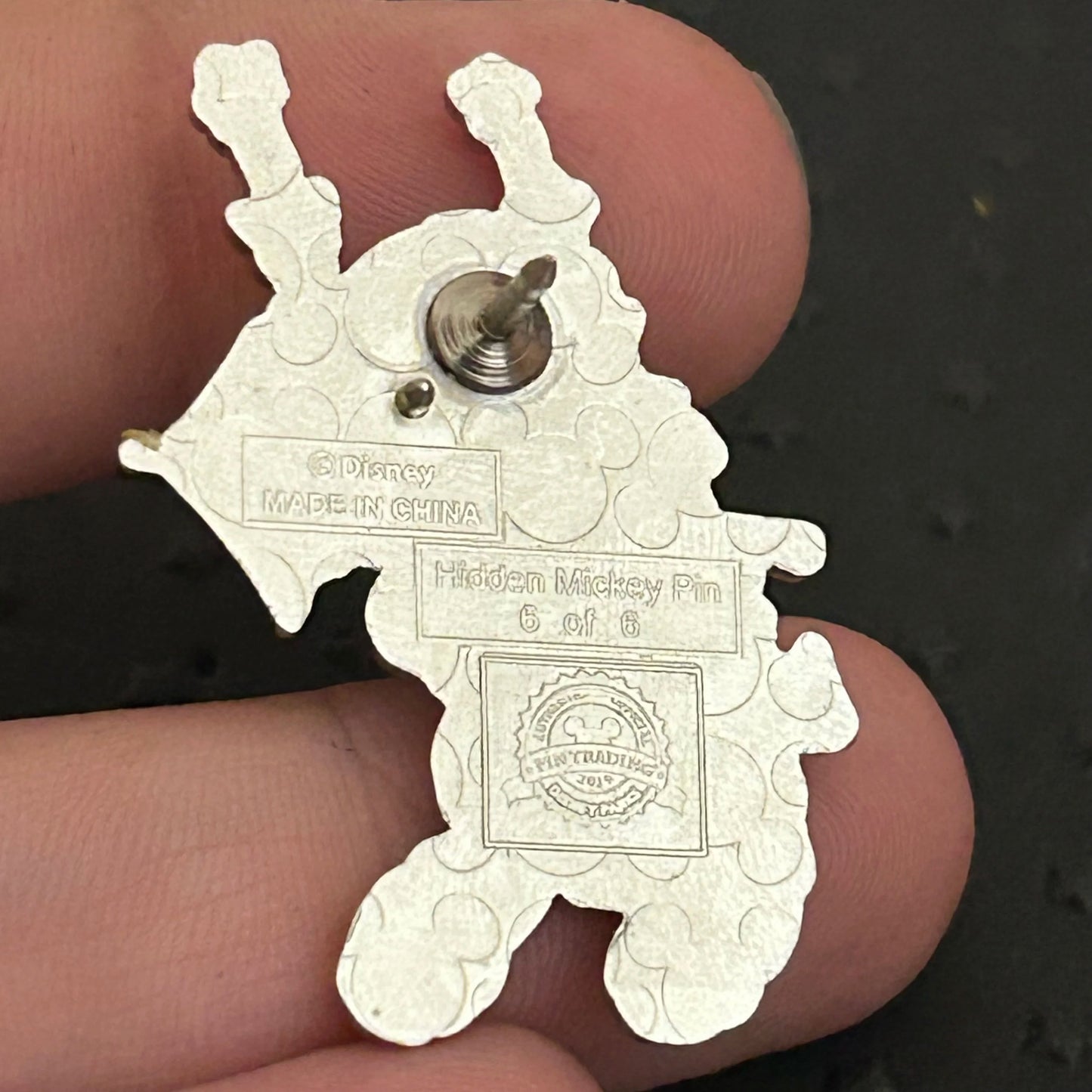 2019 - Teri Bara - Country Bears - WDW - Hidden Mickey - Pin