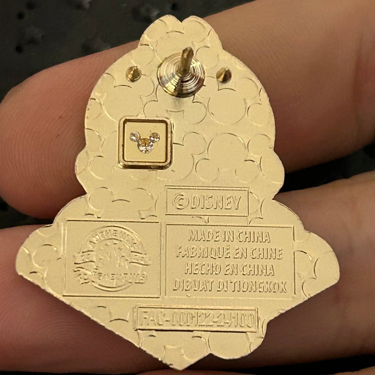 2024 - Chip - Character Fan - Mystery Pin