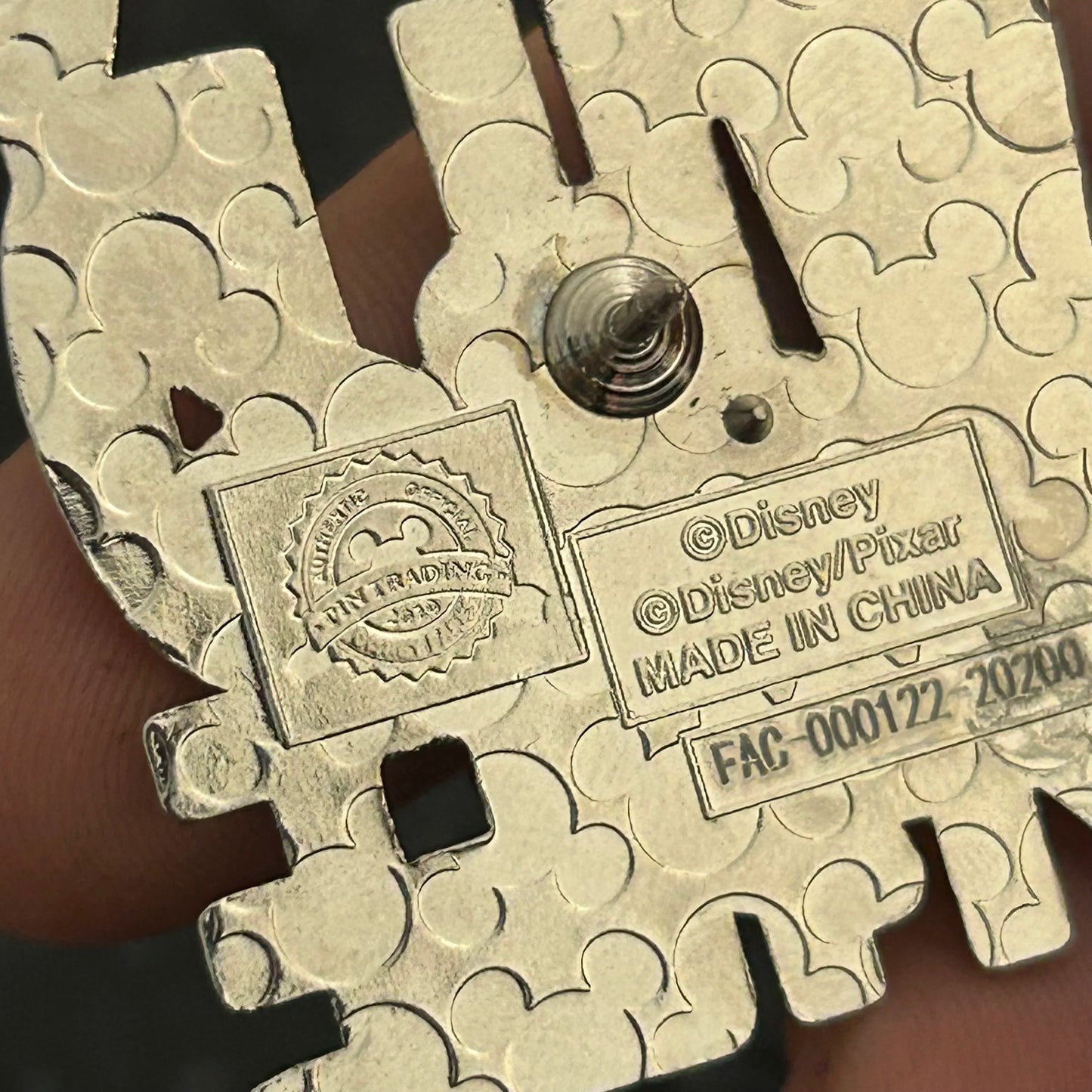 2019 - Kevin - Up - Wild and Free - Disney Pin