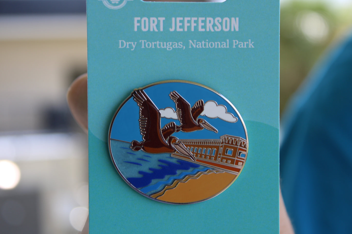 2025 - Pelicans on South Beach - LR Pin - DRTO National Park - Hive Exclusive