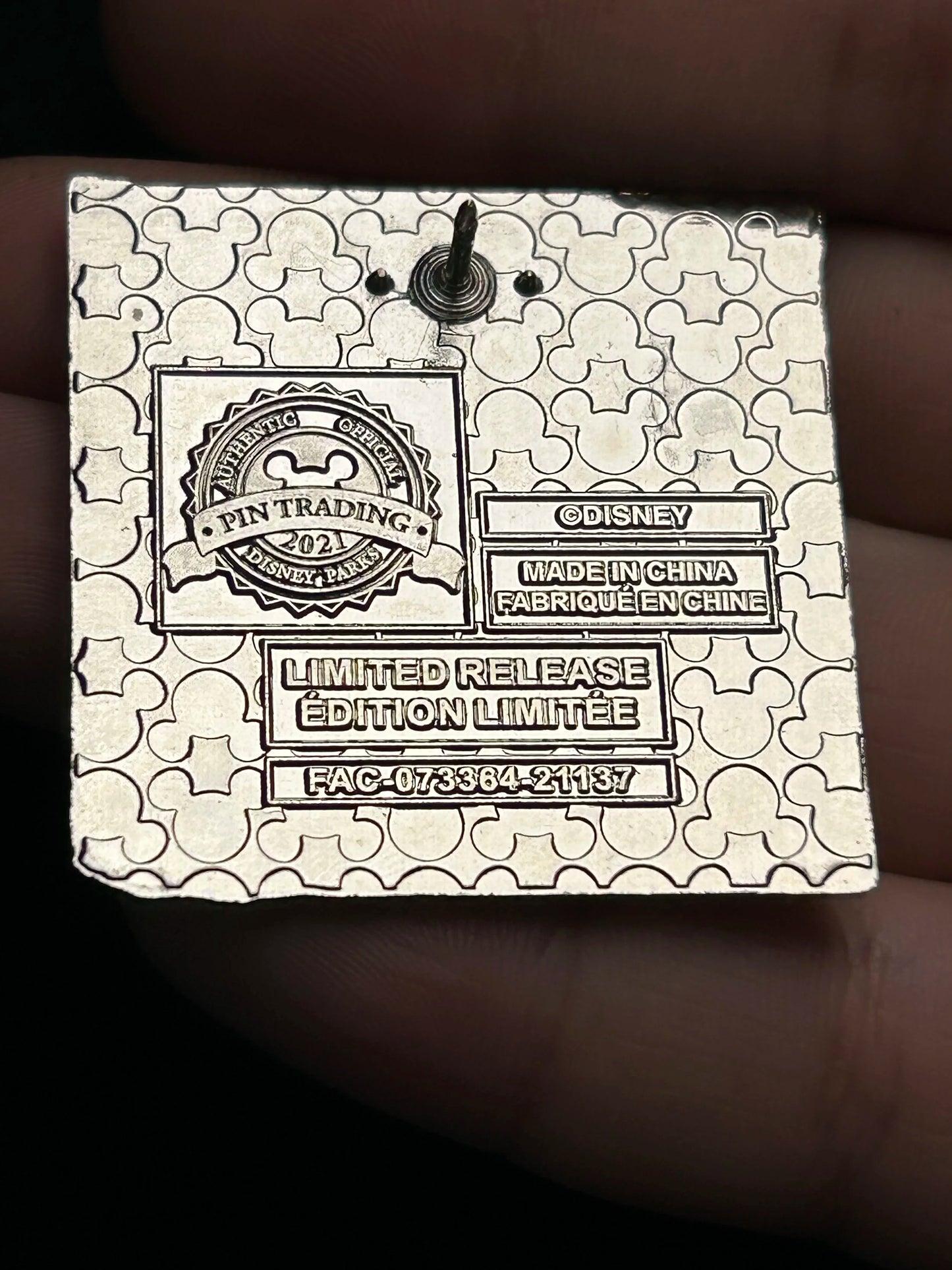 2021 - Rapunzel in Snuggly Duckling - Disney Pin