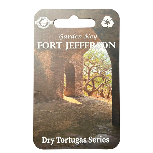 2025 - Fort Jefferson Amphitheater (Parade Ground) - DRTO Series - LR Pin - Pin Hive Exclusive