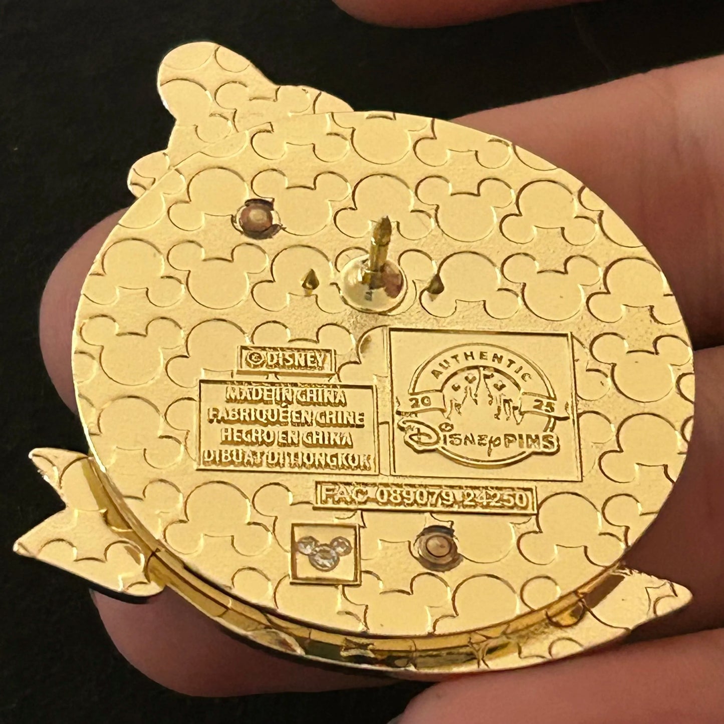 2025 - Goofy - Wooden Style - Disney Pin on Pin