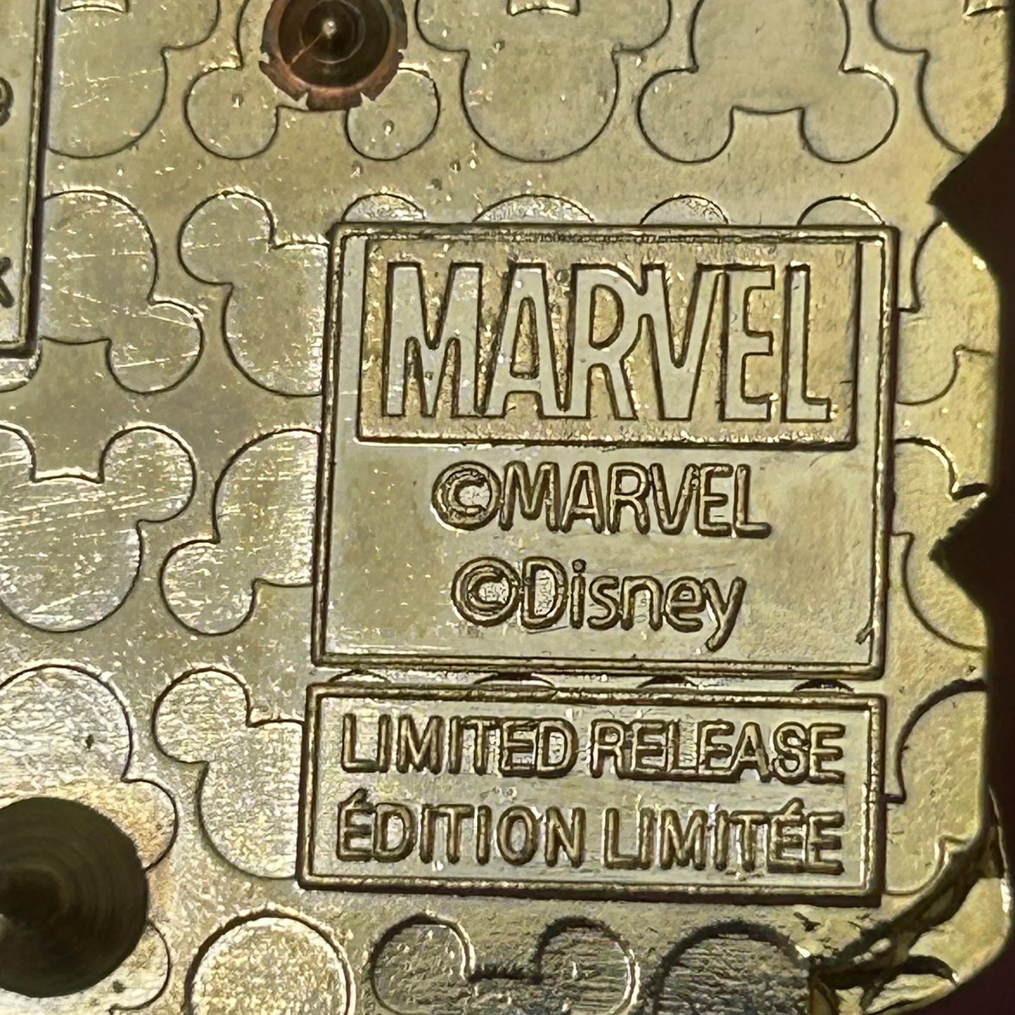 LR Namor Disney Marvel Pin