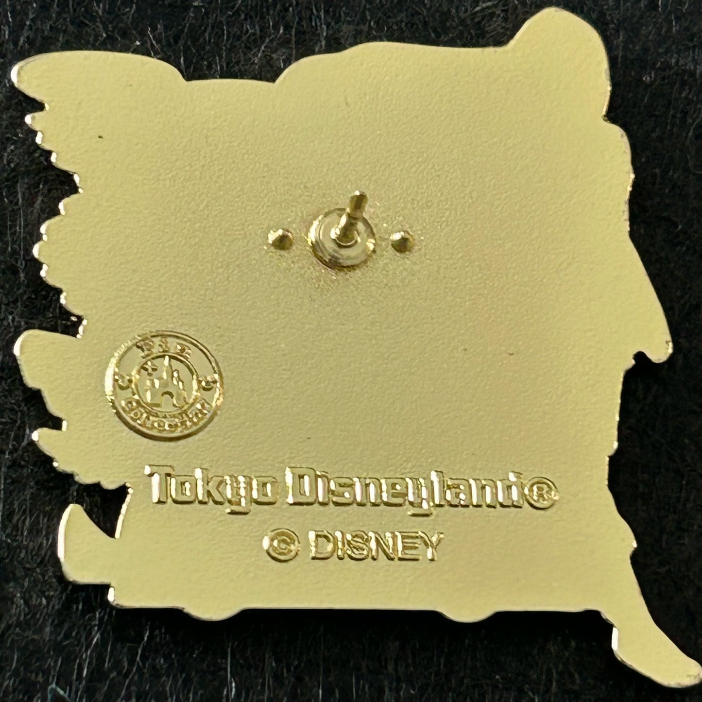 Tokyo Disneyland - Pocahontas - In A Glitter Garden - Disney Pin