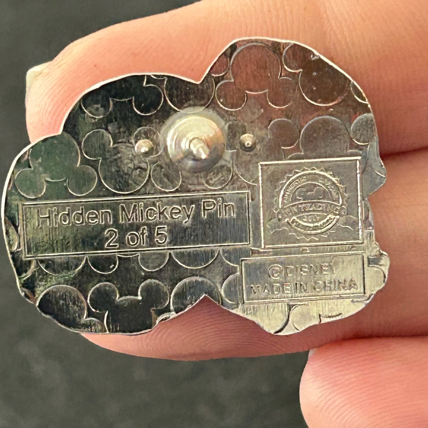 2015 - Chip and Dale - Mardi Gras - Hidden Mickey - Disney Pin