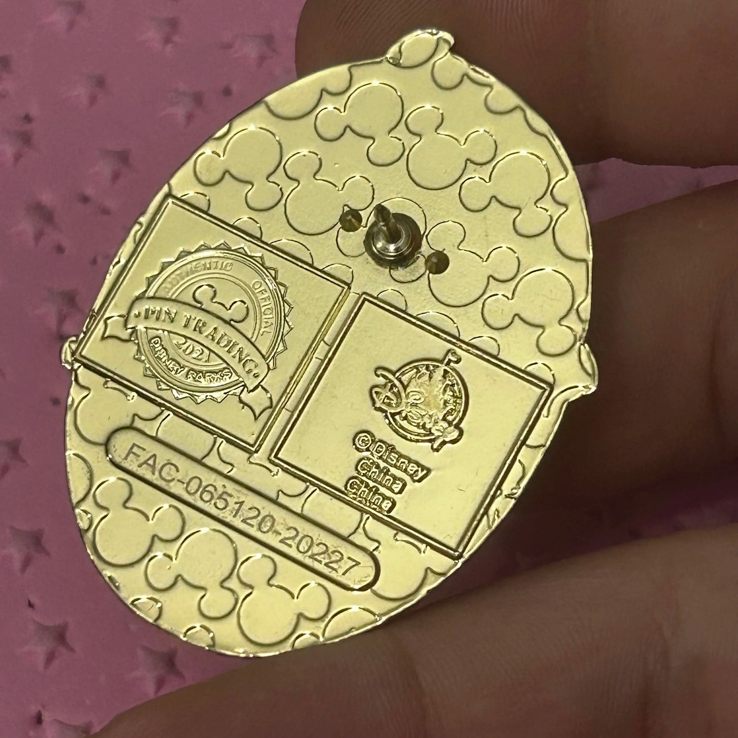 2021 - Pumba Singing - Lion King Disney Pin