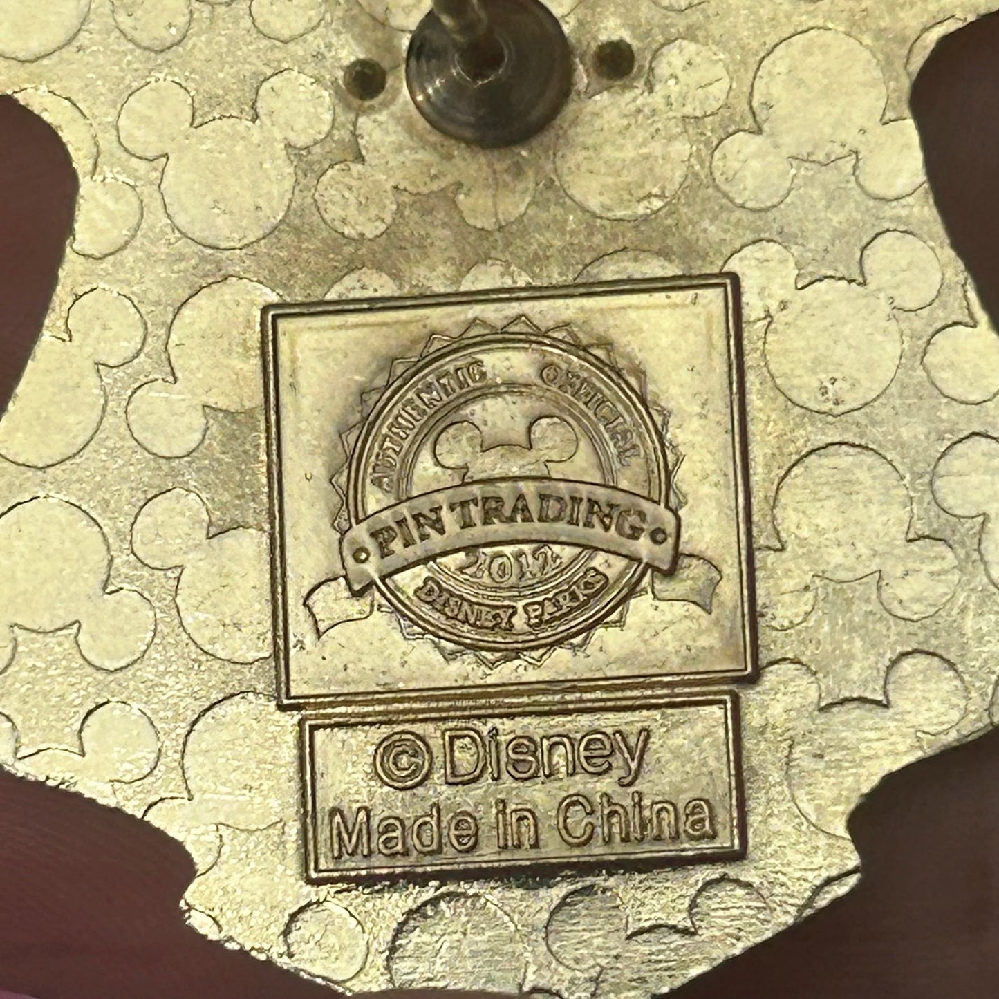 2012 - Jasmine - Storybook Princess Crest Pin