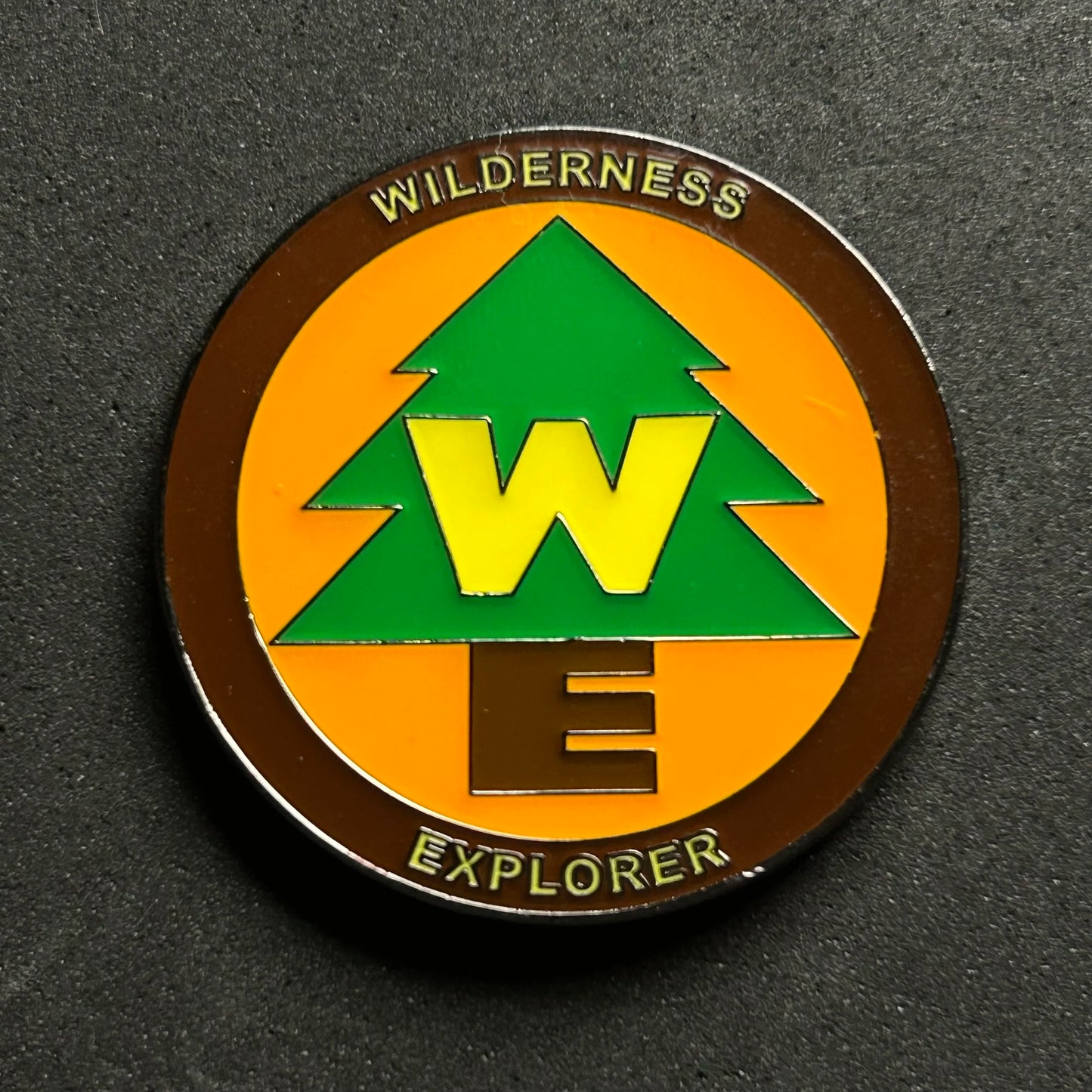 Loungefly - Wilderness Explorer - Logo - Up - Disney Pin