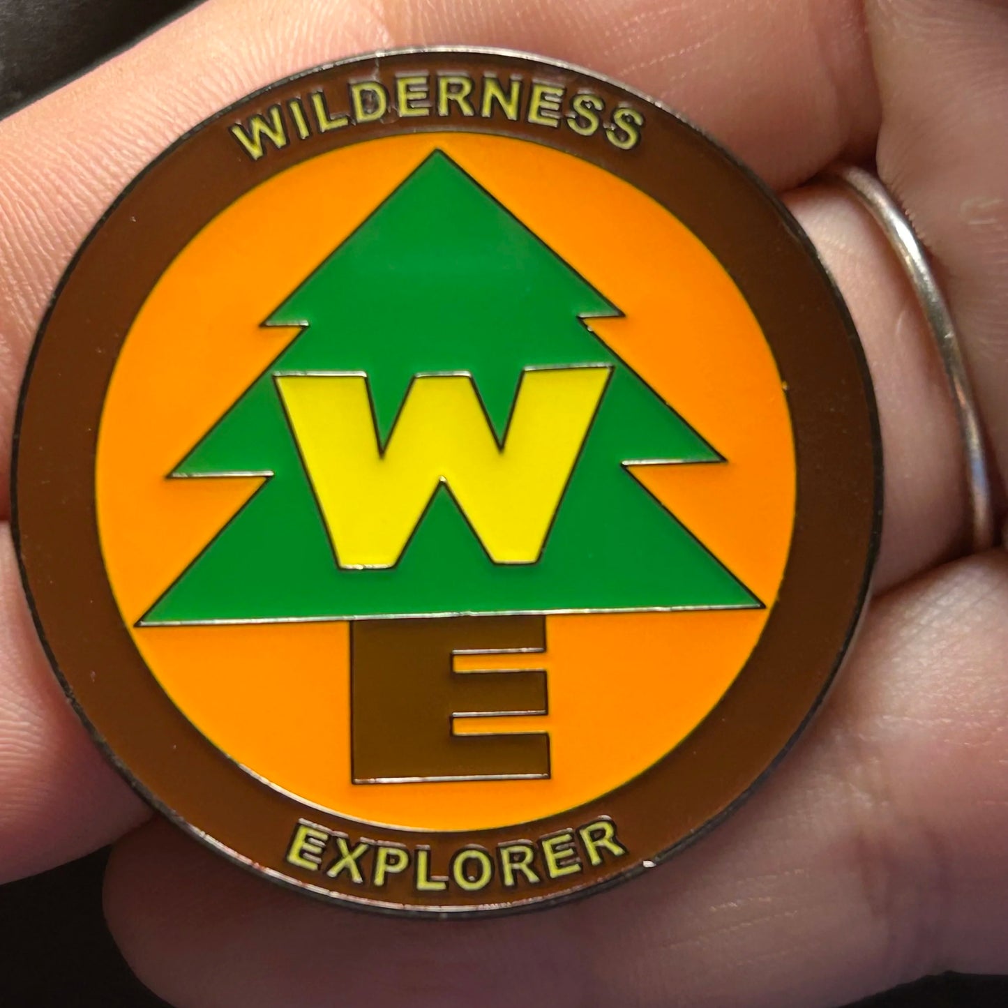 Loungefly - Wilderness Explorer - Logo - Up - Disney Pin