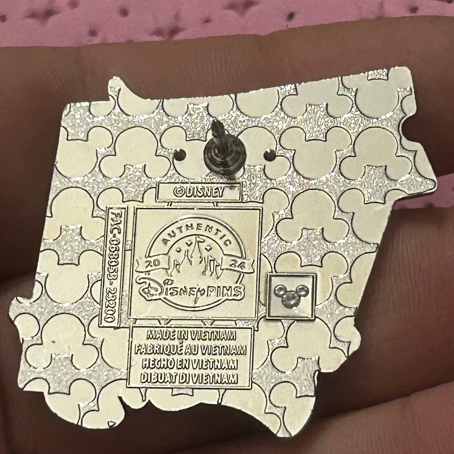 2024 - Chip and Dale - Ticket - Play In The Park - Pin