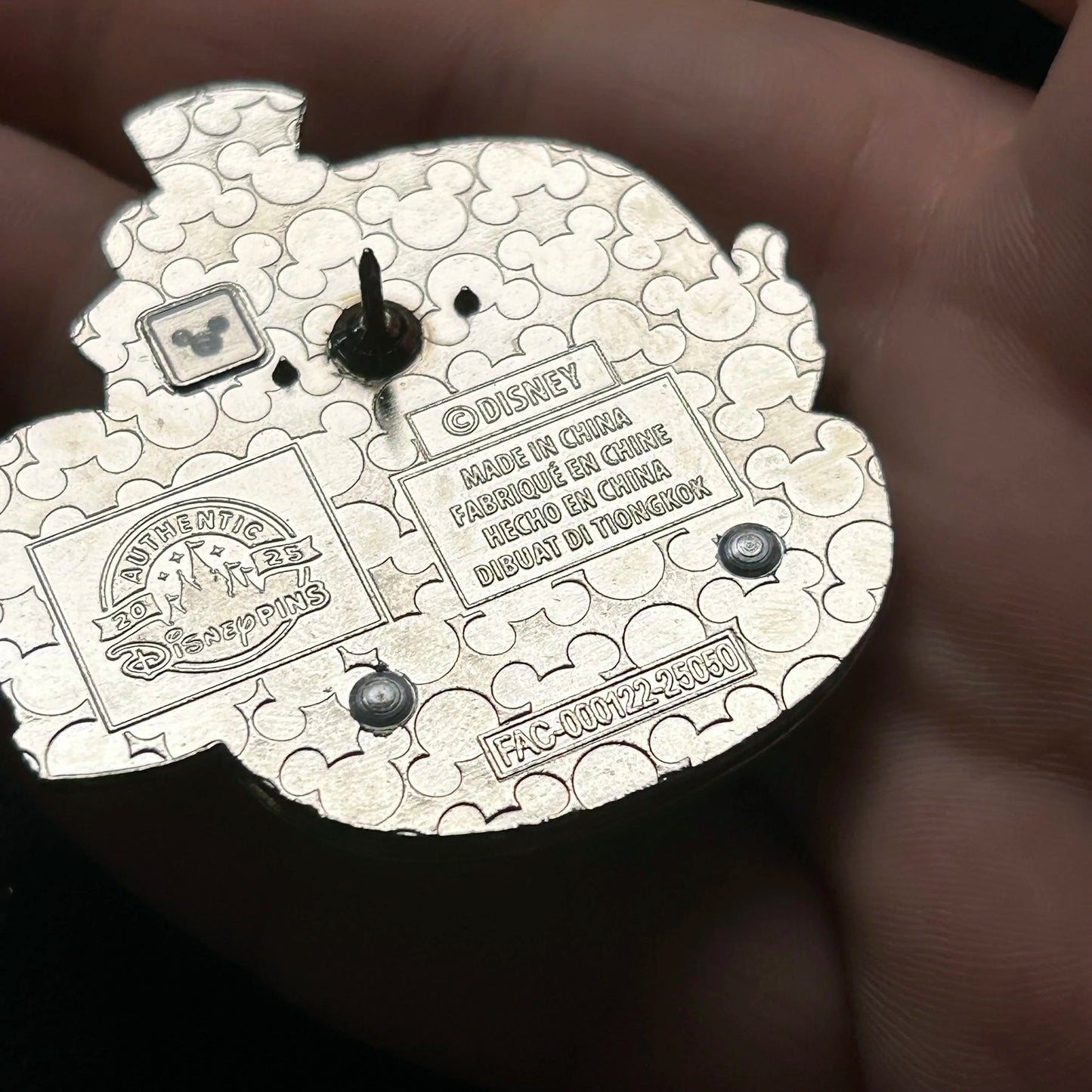 2025 - Kermit and Fozzie in Doombuggy - Haunted Mansion - Disney Pin