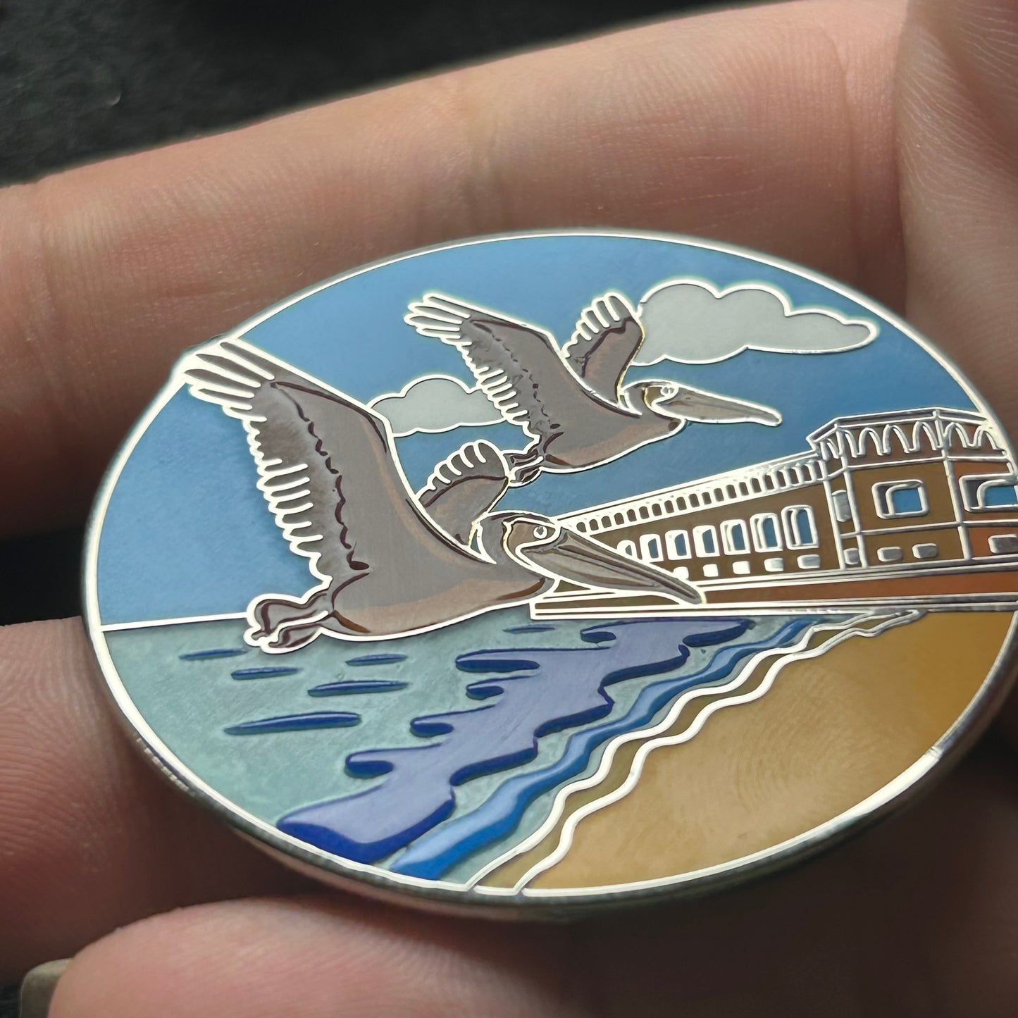 2025 - Pelicans on South Beach - LR Pin - DRTO National Park - Hive Exclusive