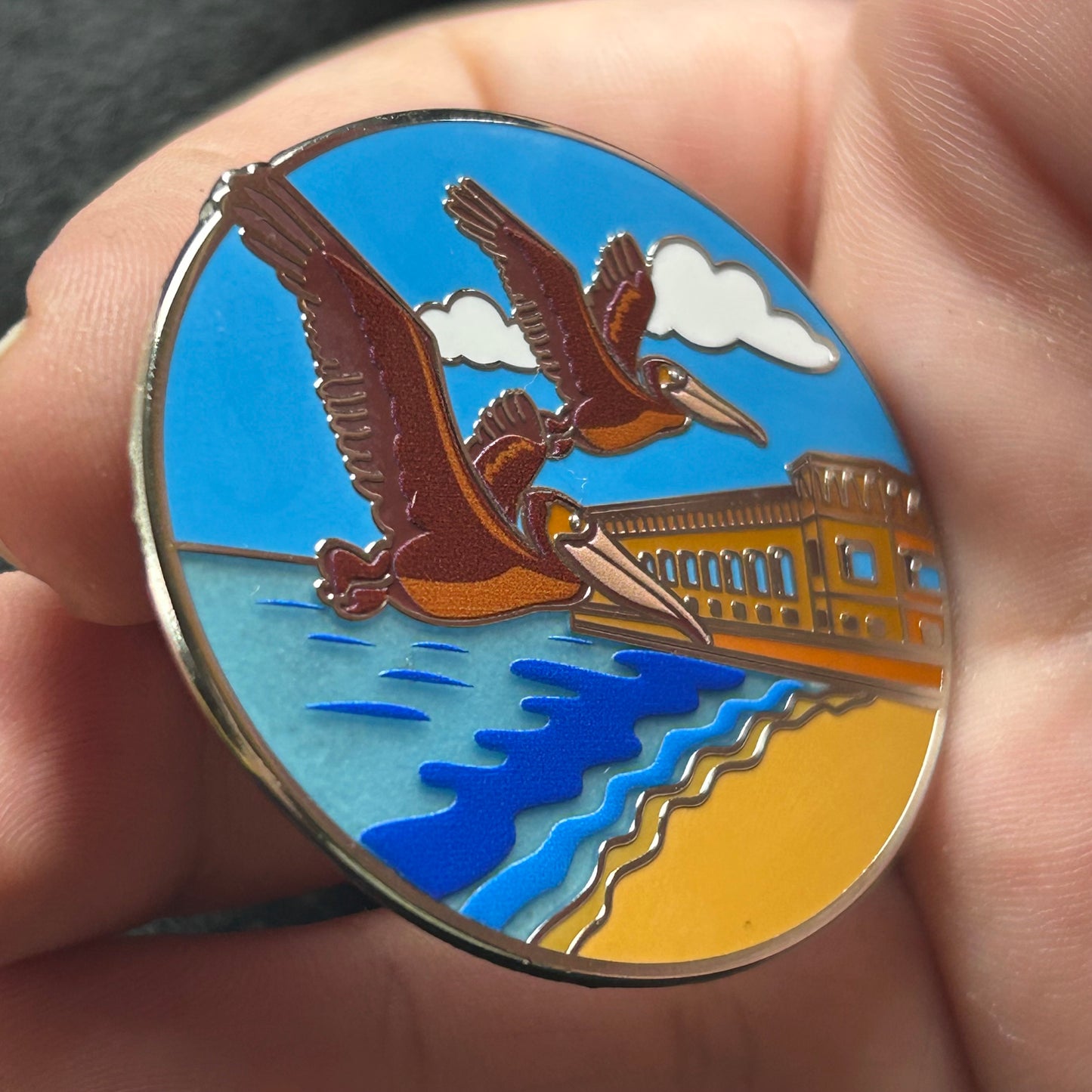 2025 - Pelicans on South Beach - LR Pin - DRTO National Park - Hive Exclusive