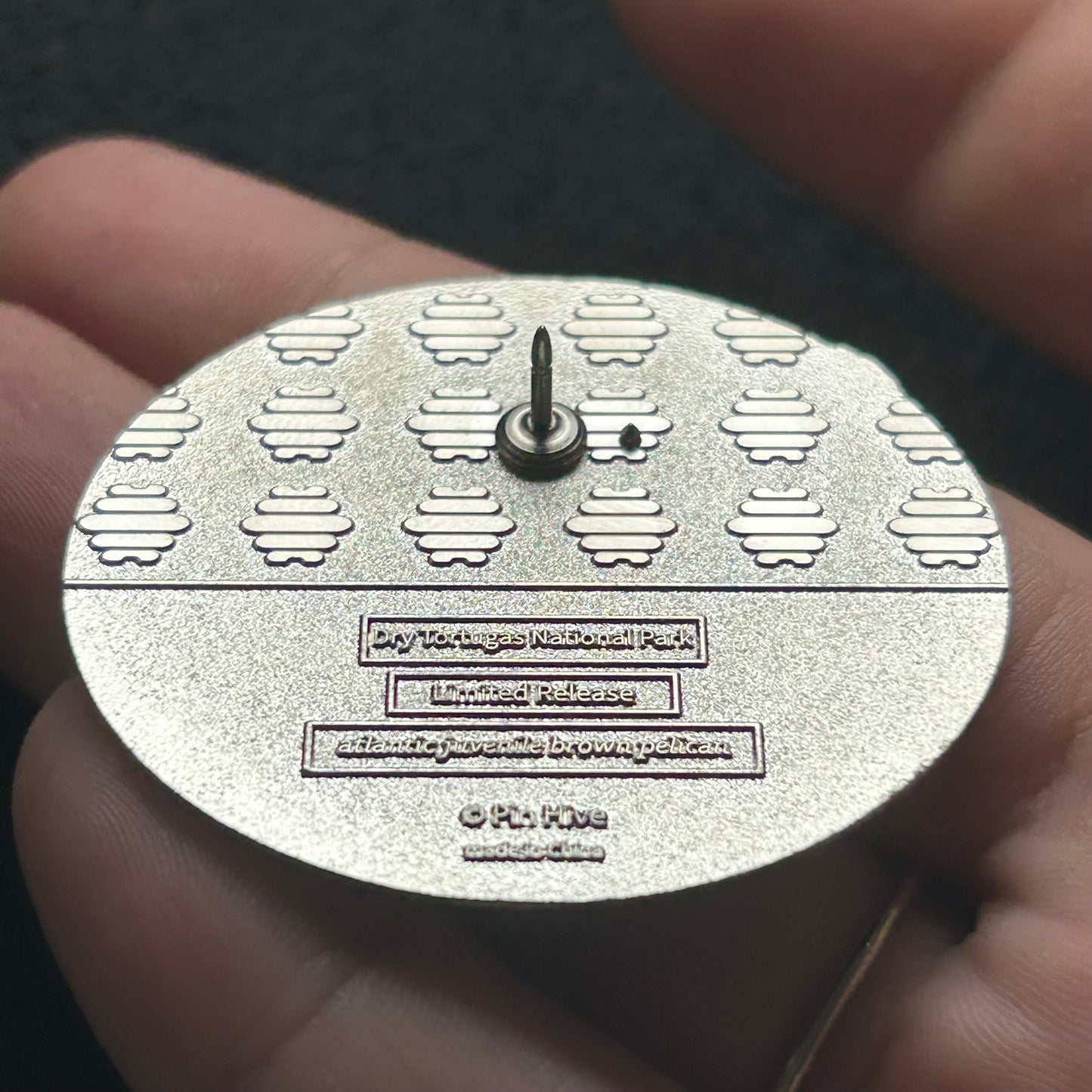 2025 - Pelicans on South Beach - DRTO National Park - Limited Release Pin