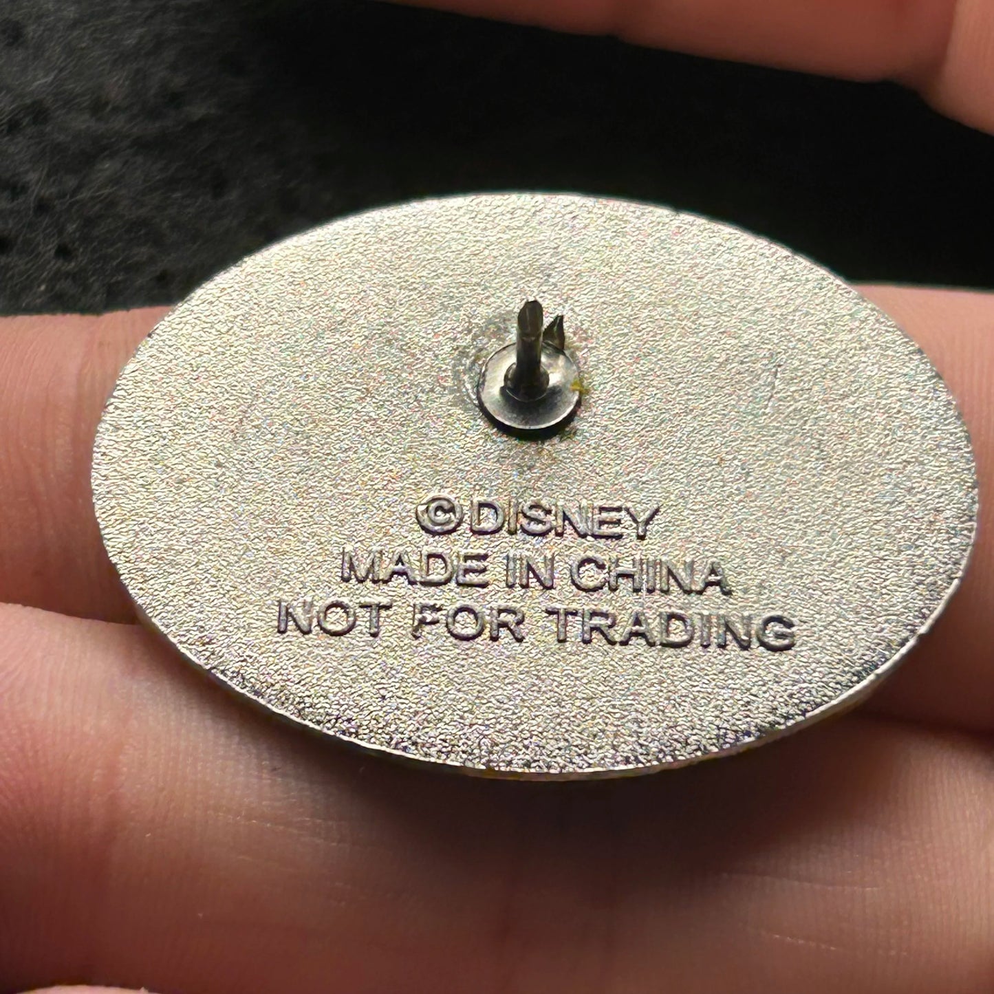 Cast Member - Development Connections - Not For Trading - Disney Pin