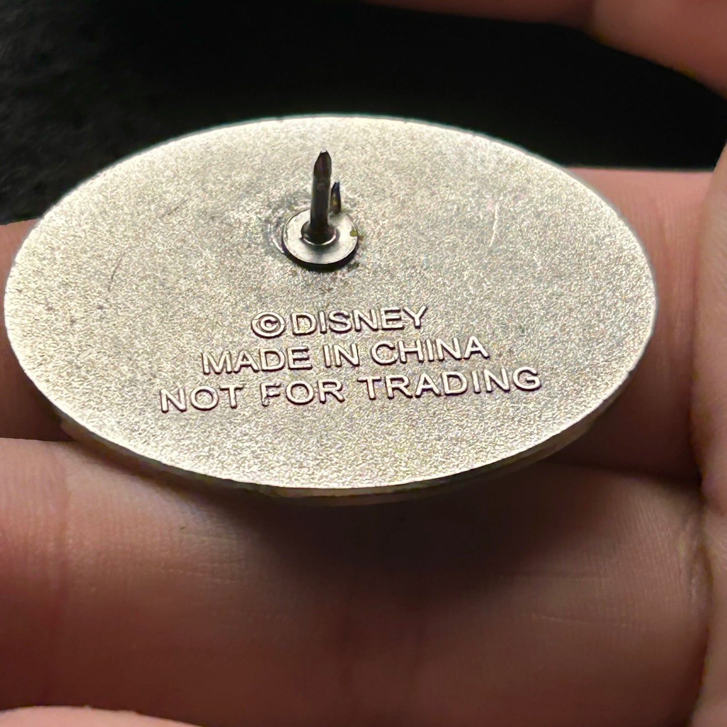 Cast Member - Development Connections - Not For Trading - Disney Pin