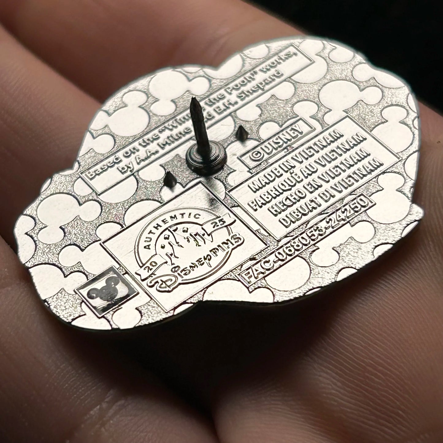 2025 - Winnie the Pooh - Slippers - Mystery Pin