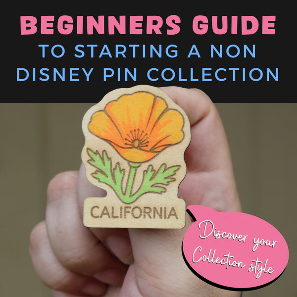Beginner’s Guide to Starting a Non Disney Pin Collection