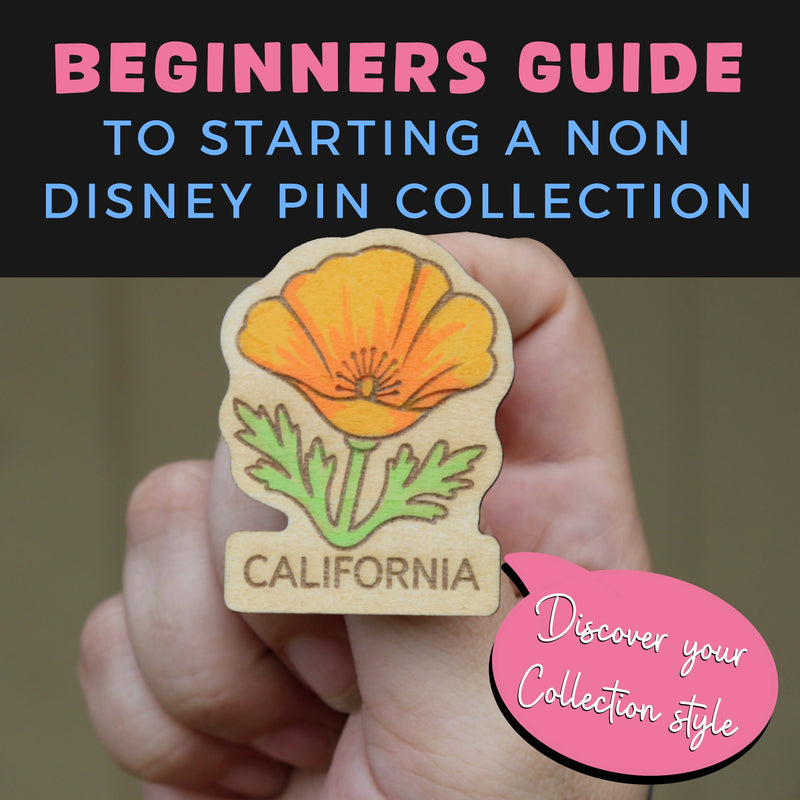 Beginner’s Guide to Starting a Non Disney Pin Collection