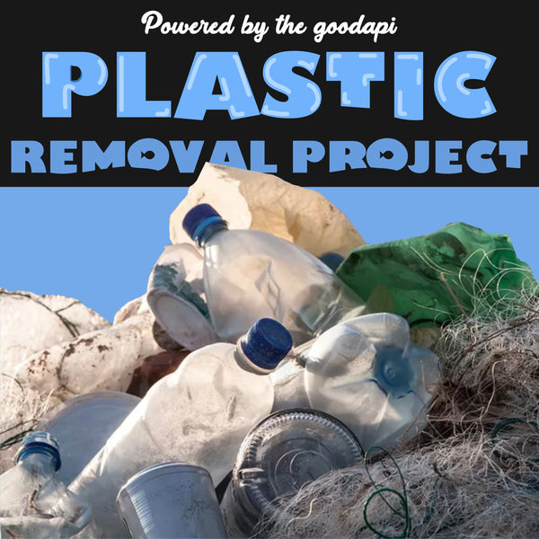 Plastic Removal Project