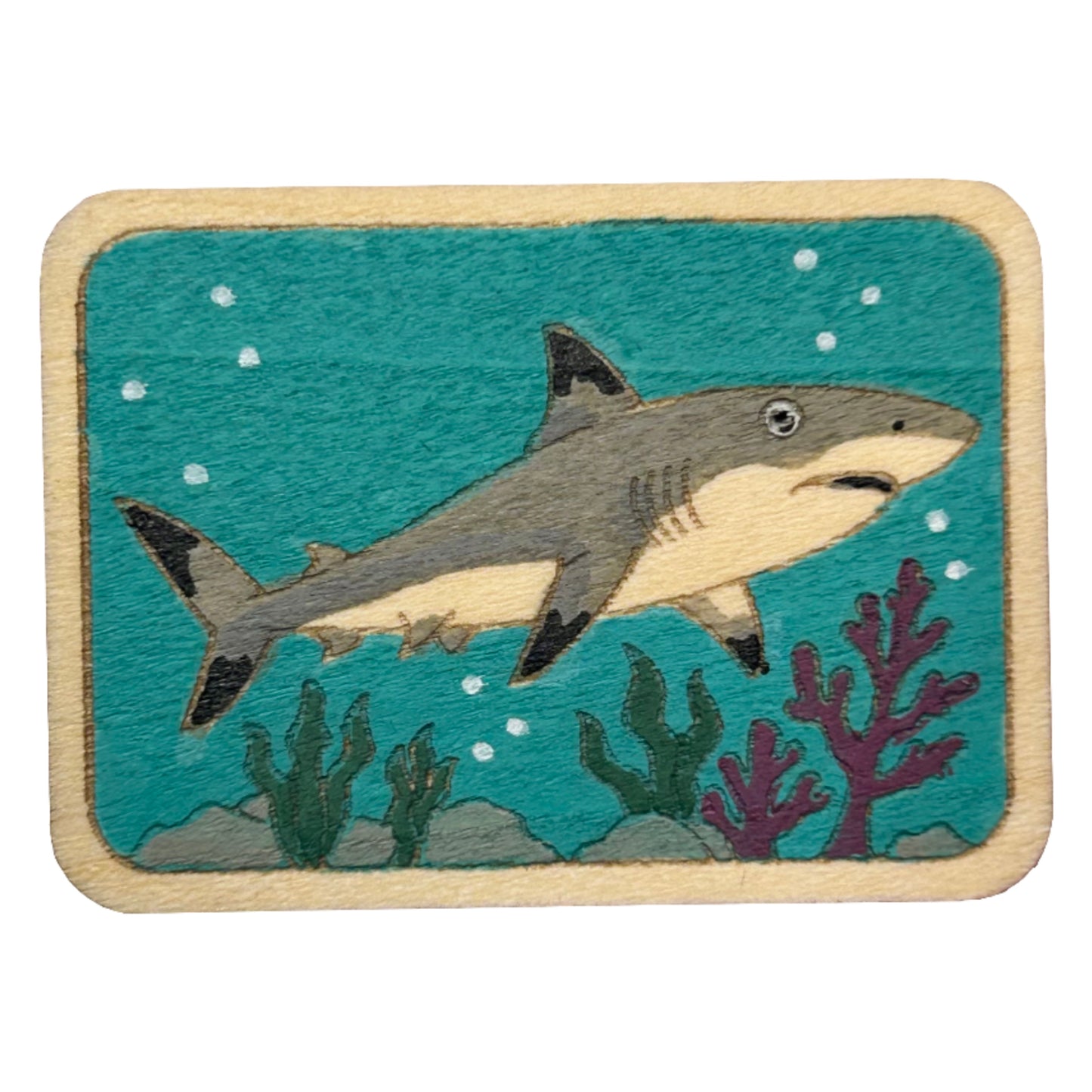 Black Tip Reef Shark - Wooden Pin & Magnet