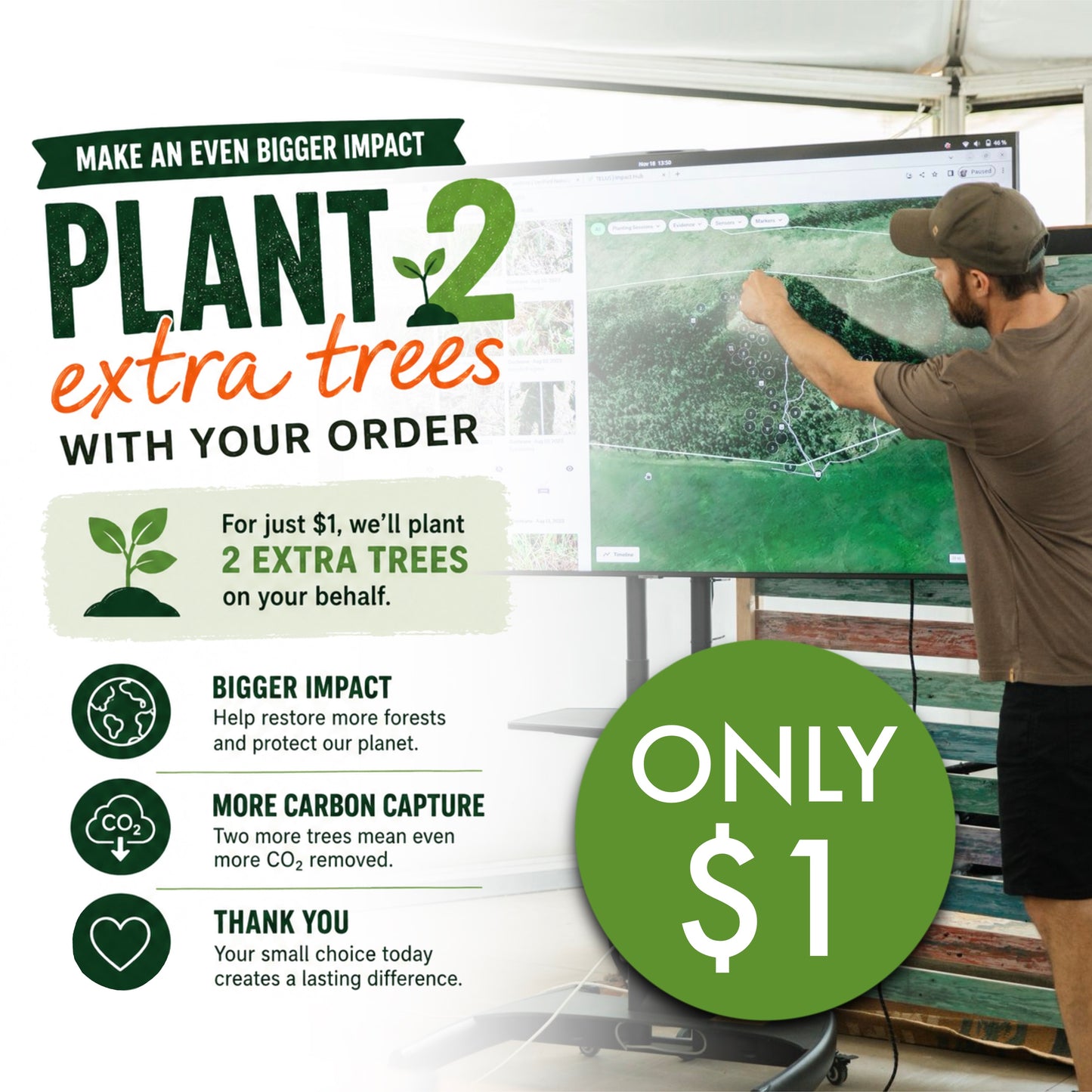 2 Additional Trees (with Sprout)