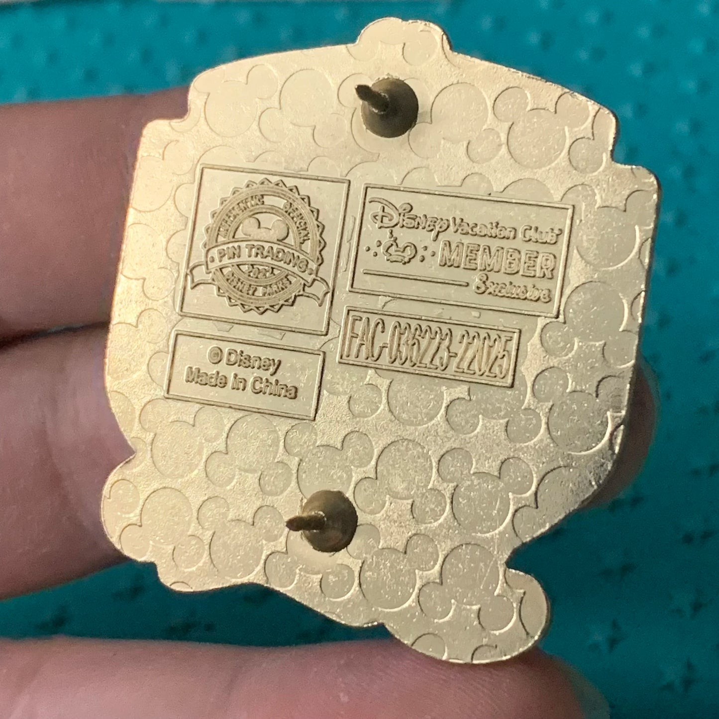 DVC Membership Mickey Pin