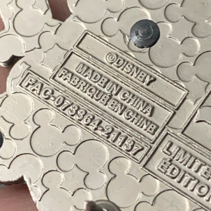 2022 LR Earth Day Mickey