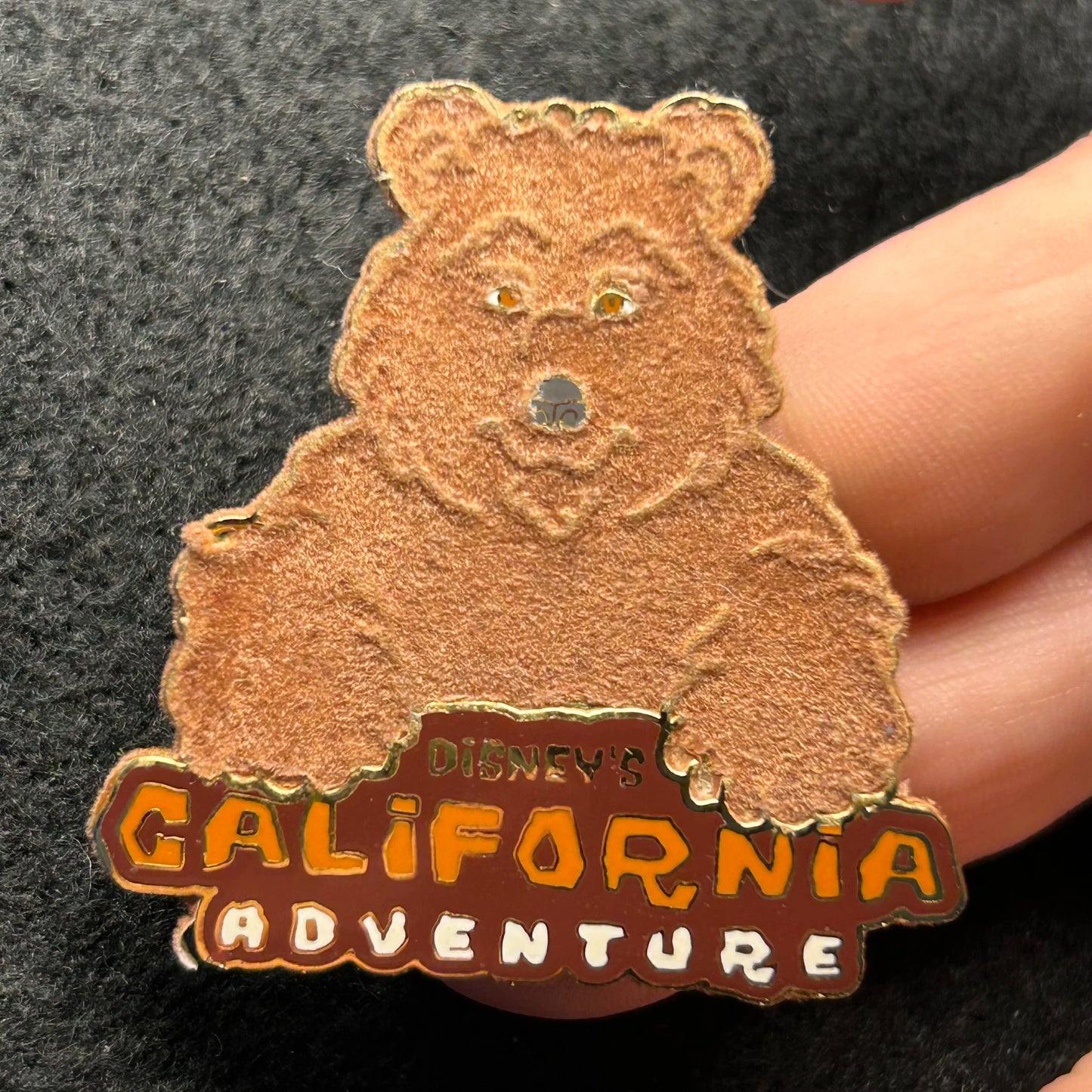 2001 - Bear - Disneys California Adventure - DLR - Fuzzy, Multi Textured - Disney Pin
