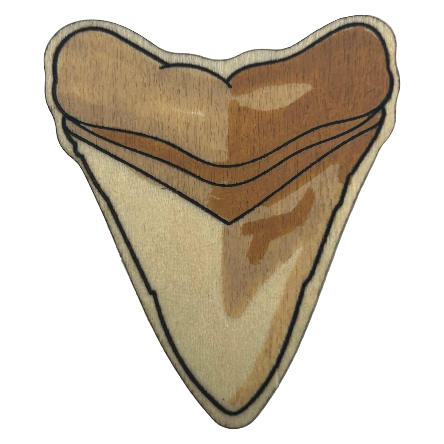 Shark Tooth Fossil - Wooden Lapel Pin & Magnet