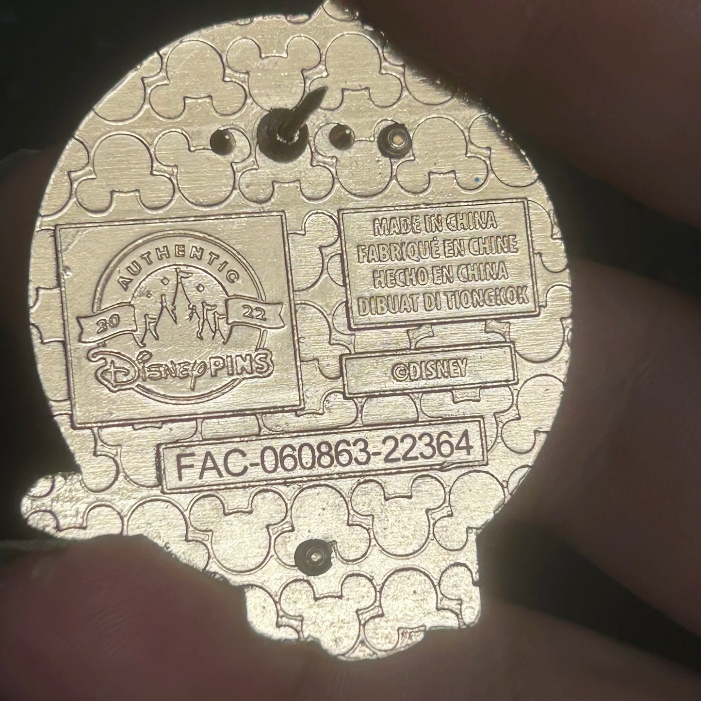 2022 - Pinocchio and Jiminy Cricket - Pin on Pin