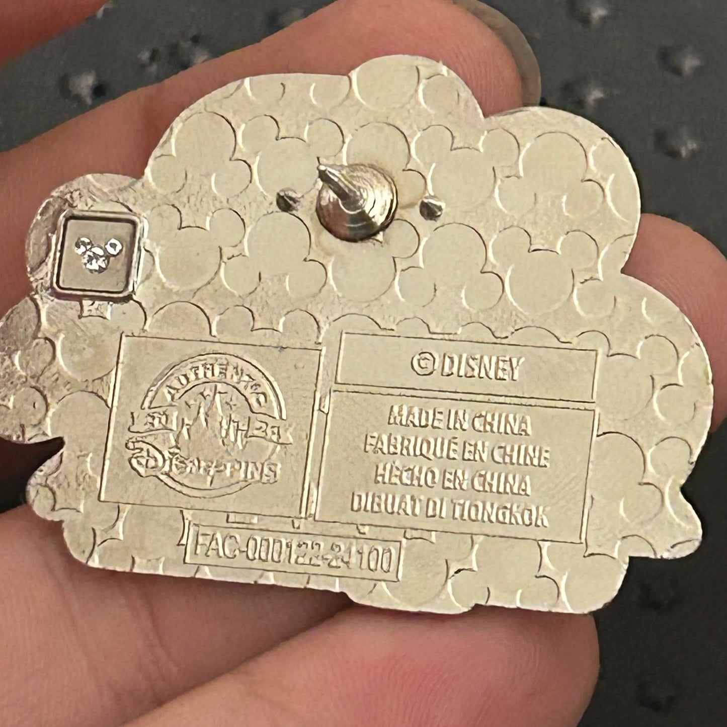 2024 - Walt Disney World - 4 Theme Parks - Disney Pin