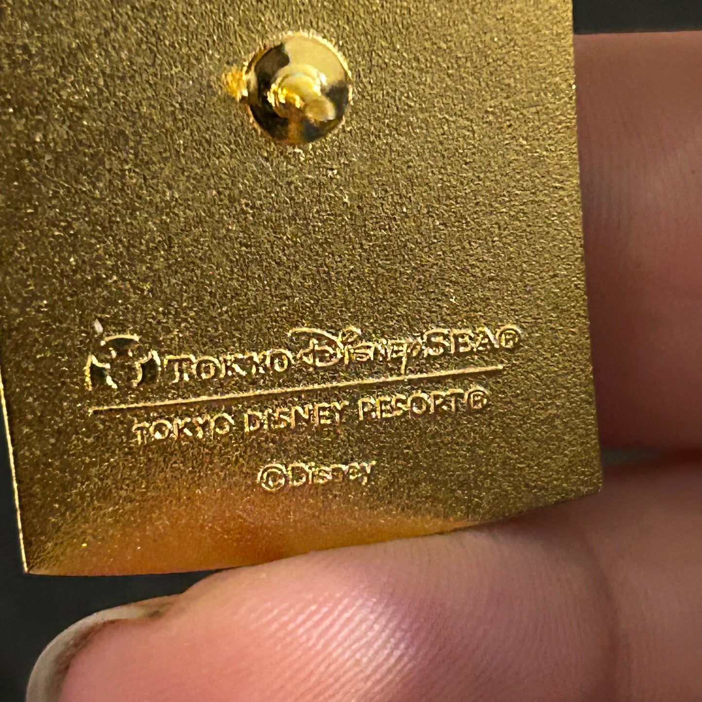 Tokyo Disney Sea - Hot Latin Nights 7/18-8/31 - Disney Pin