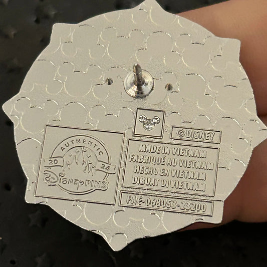 2024 - Asha and Star - Wish - Mystery Pin