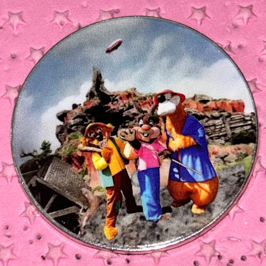 Splash Mountain Round Disney Pin