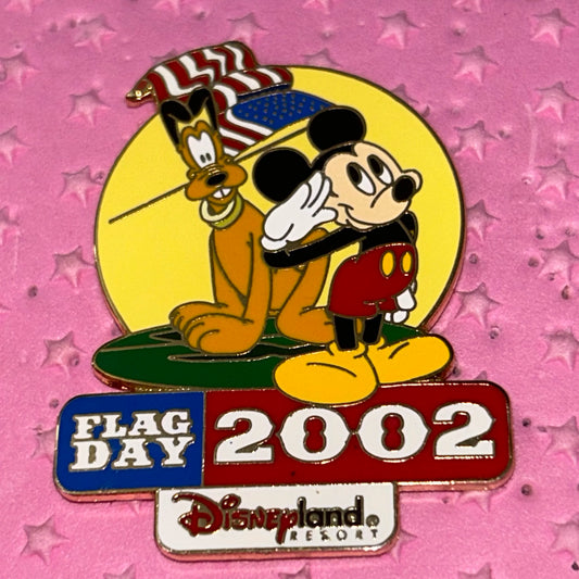 LE 2002 Flag day pin