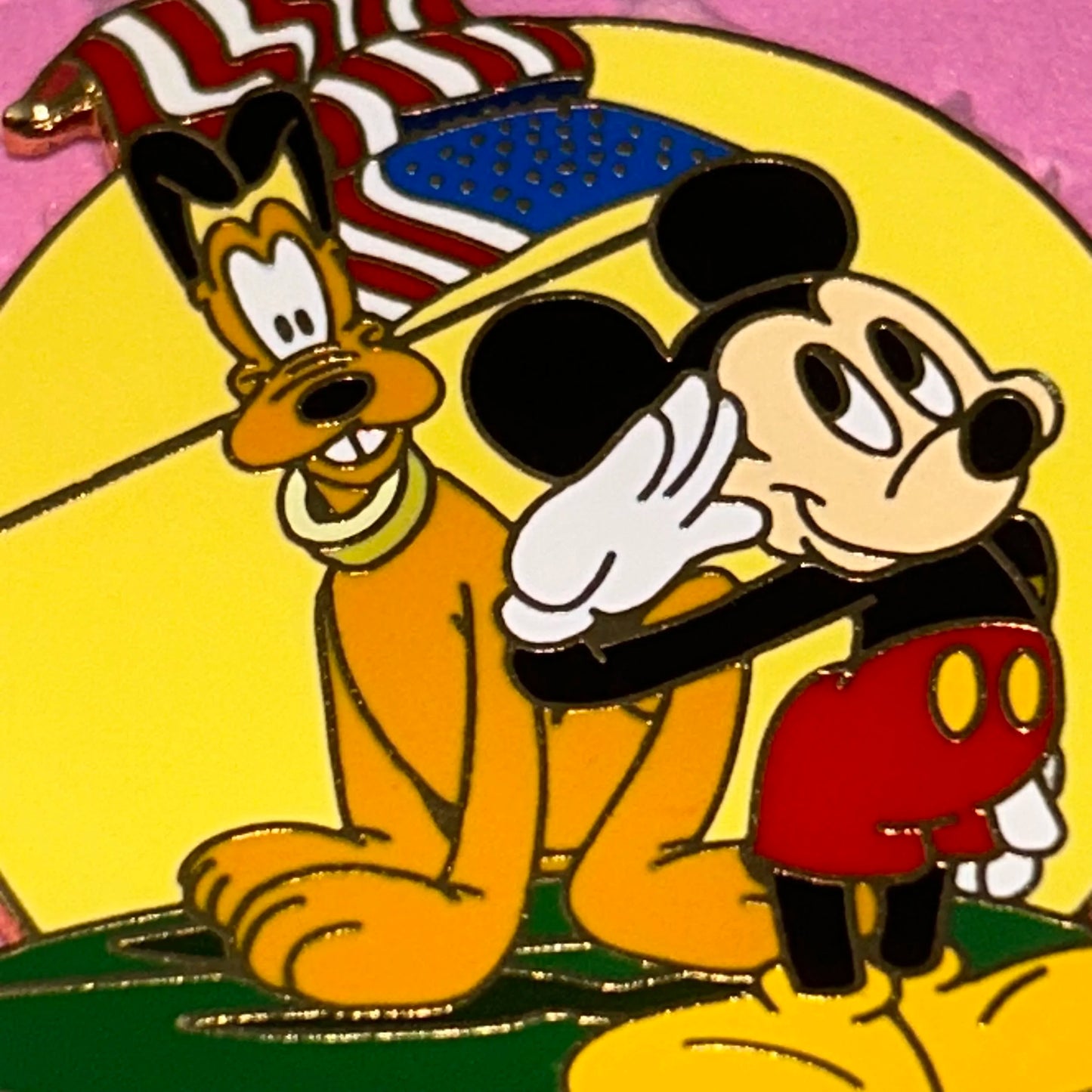 LE 2002 Flag day pin
