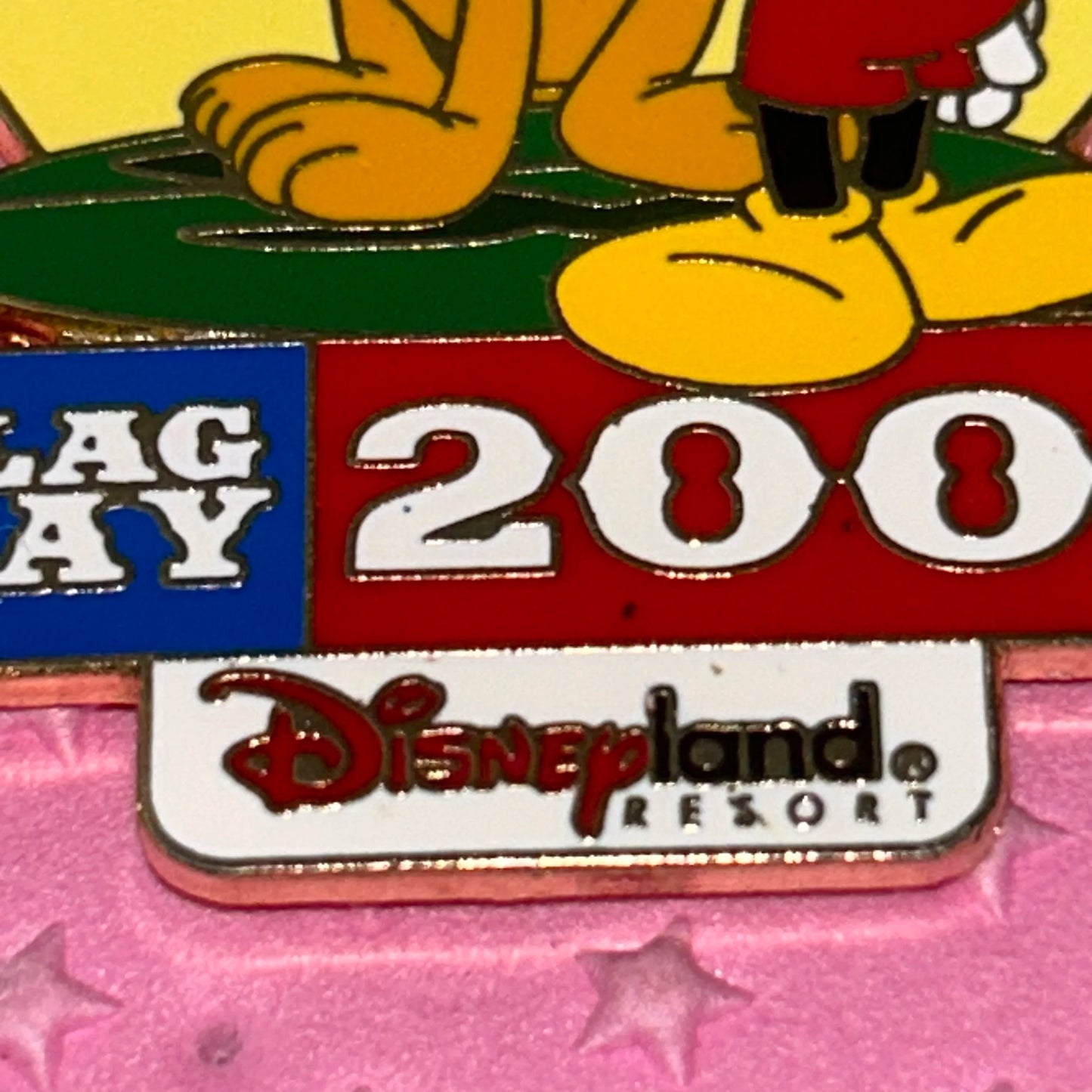 LE 2002 Flag day pin