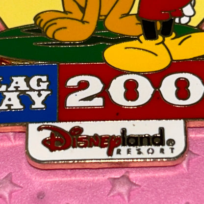 LE 2002 Flag day pin
