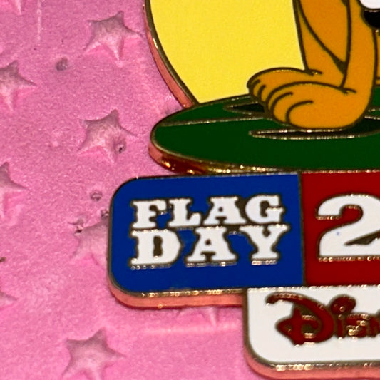 LE 2002 Flag day pin