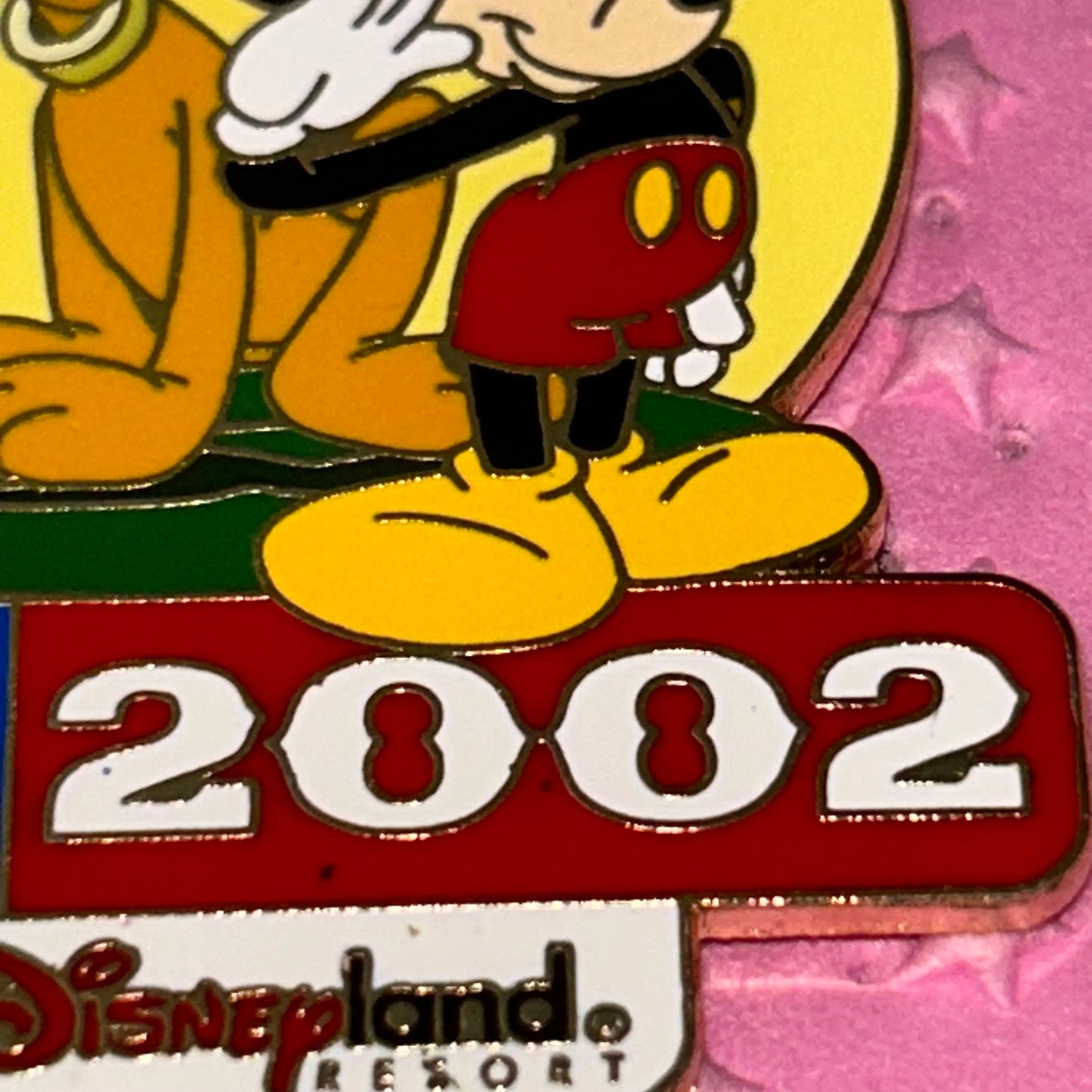 LE 2002 Flag day pin