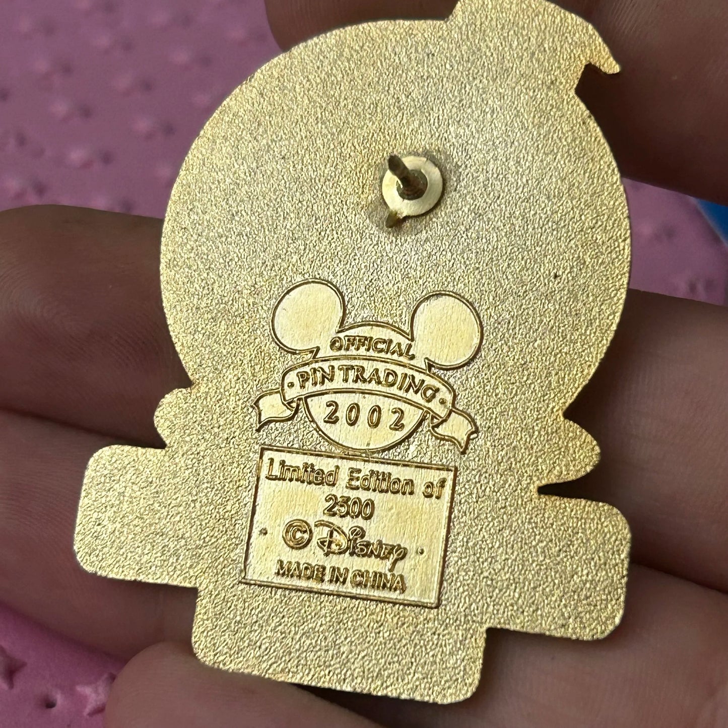 LE 2002 Flag day pin