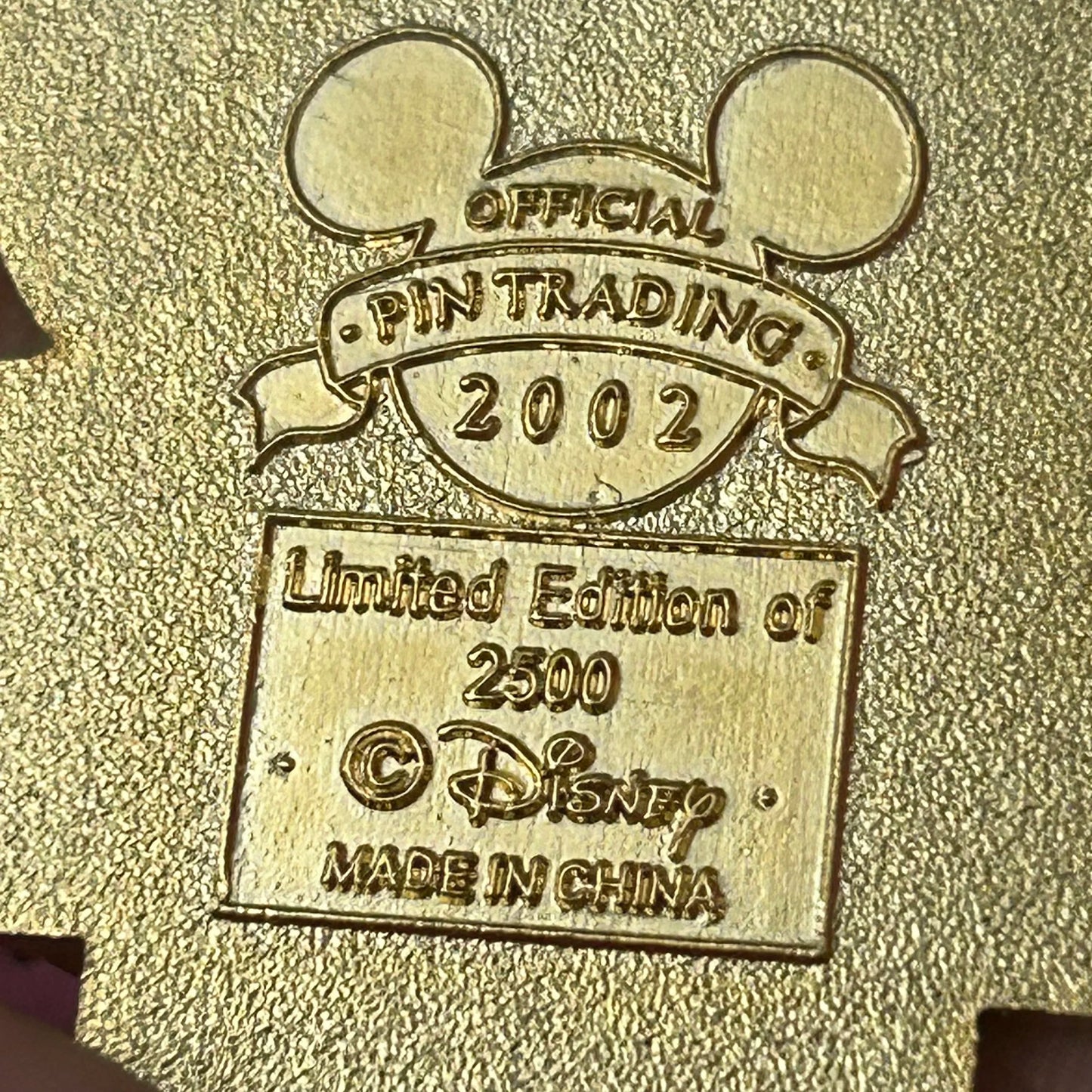 LE 2002 Flag day pin
