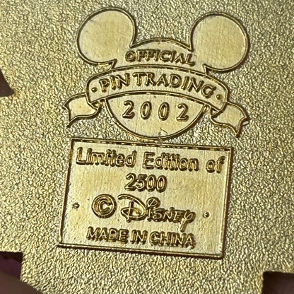 LE 2002 Flag day pin