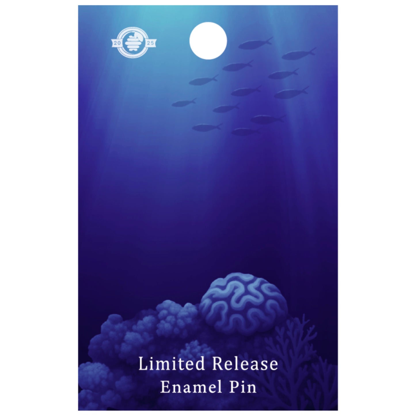 Bottlenose Dolphin Pin - Swimming at the Coral Reef